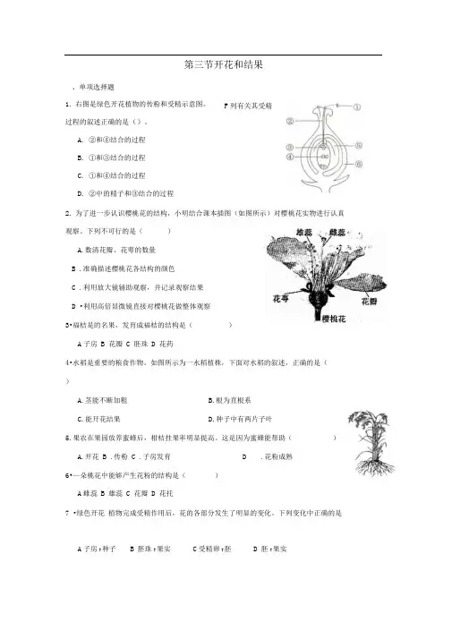 人教版七上《开花和结果》word同步测试