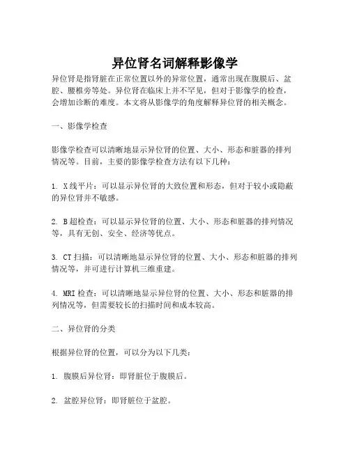 异位肾名词解释影像学
