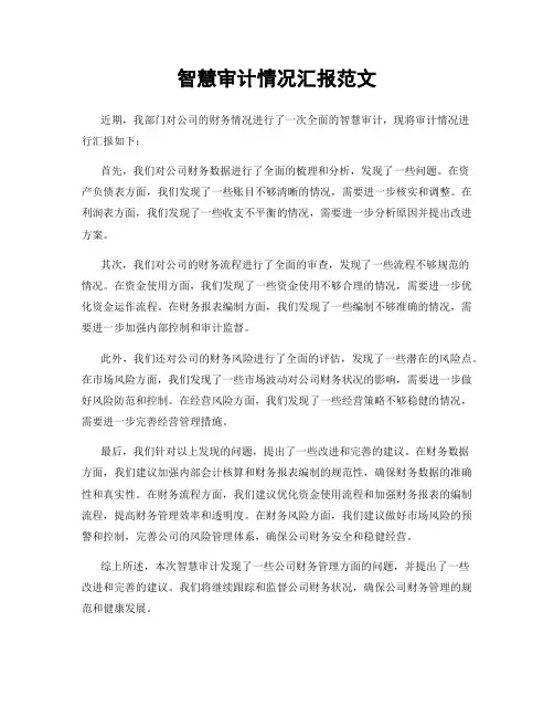 智慧审计情况汇报范文