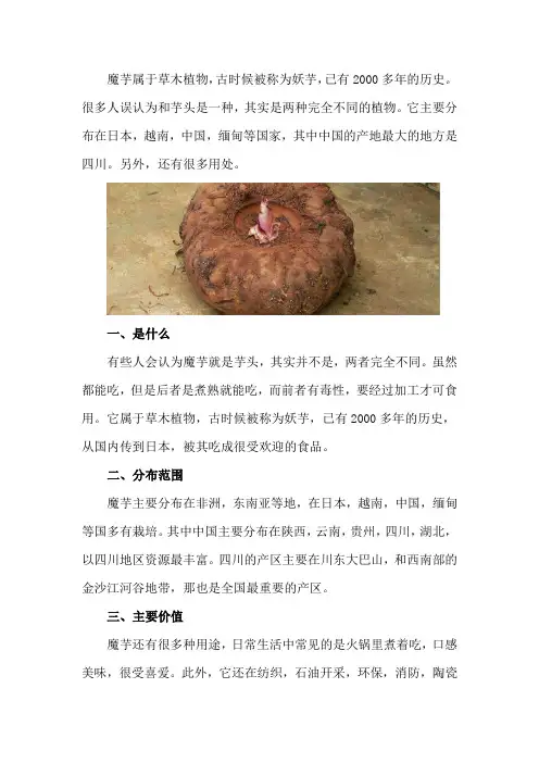 魔芋是什么