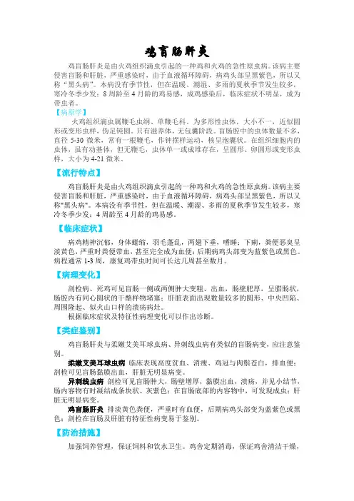 鸡盲肠肝炎的防治