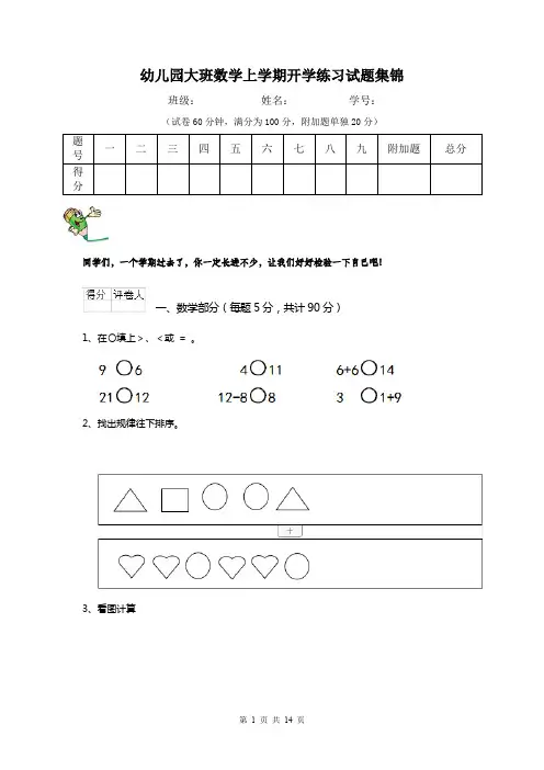 幼儿园大班数学上学期开学练习试题集锦