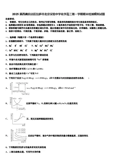 2025届西藏自治区拉萨市北京实验中学化学高三第一学期期末检测模拟试题含解析