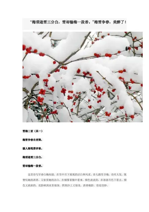 “梅须逊雪三分白,雪却输梅一段香。”梅雪争春,美醉了!