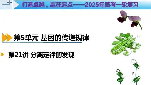 高三生物一轮复习课件第23讲 基因分离定律的特殊情境下的应用