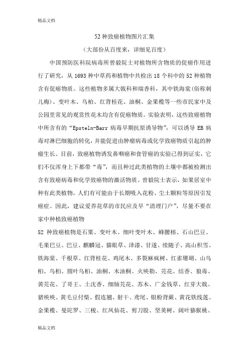 (整理)52种致癌植物图片汇集.