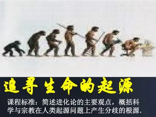 追寻生命的起源(优质课件)