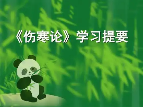伤寒复习资料 PPT课件