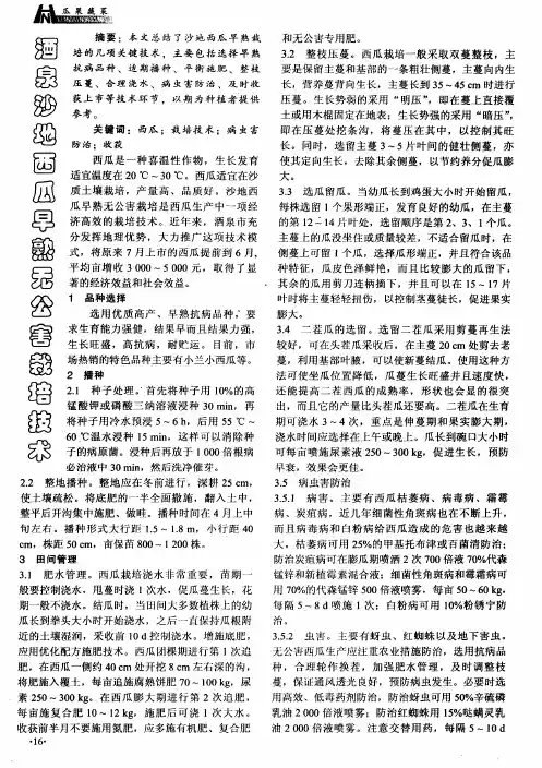 酒泉沙地西瓜早熟无公害栽培技术