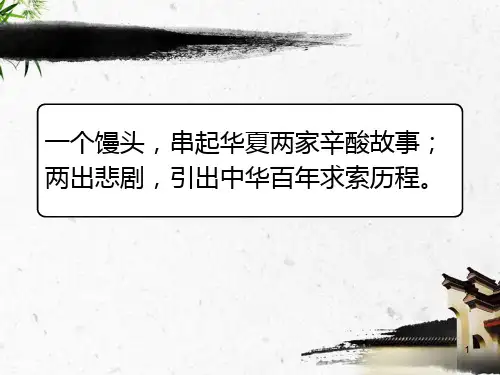 鲁迅《药》(公开课)PPT课件