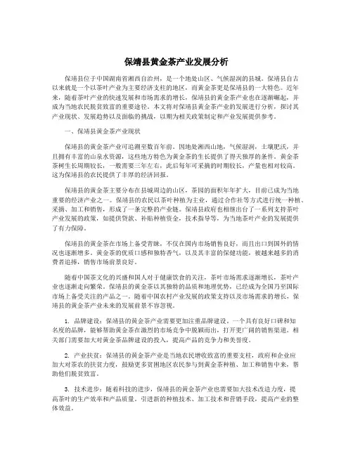 保靖县黄金茶产业发展分析