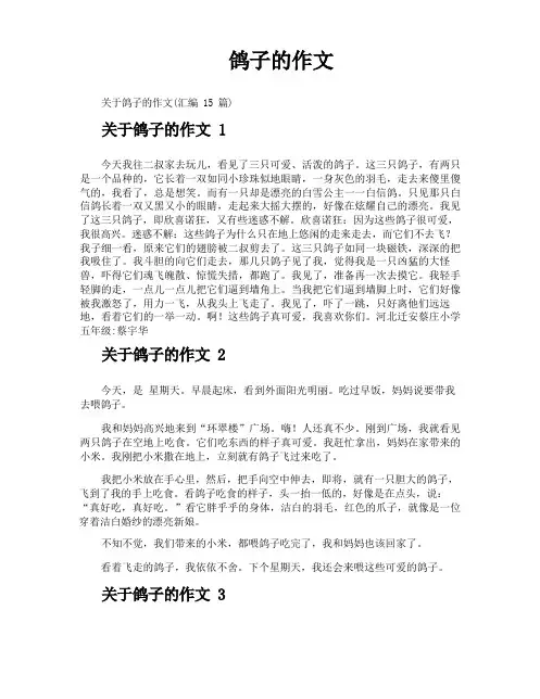 鸽子的作文