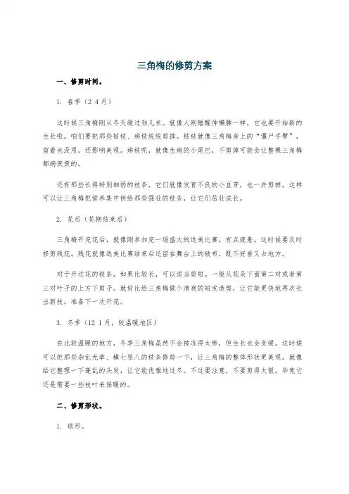 三角梅的修剪方案