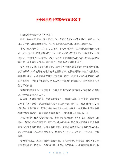 关于风景的中考满分作文800字