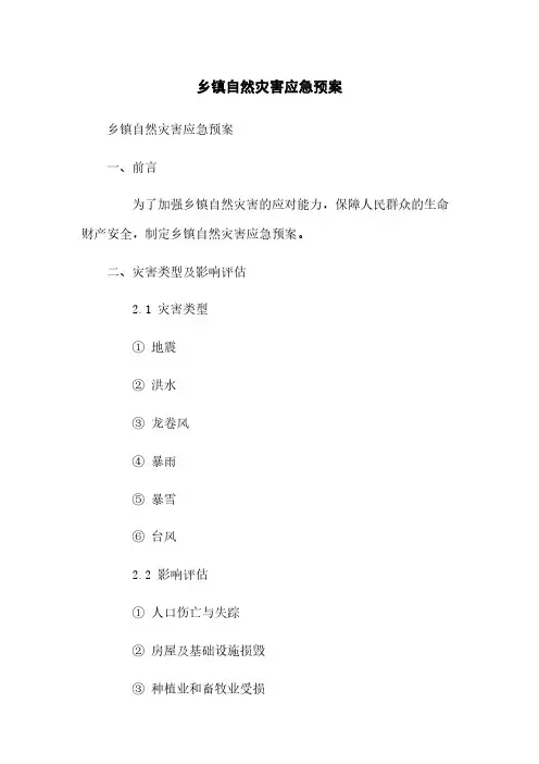 乡镇自然灾害应急预案