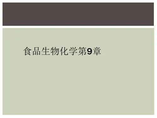 食品生物化学第9章