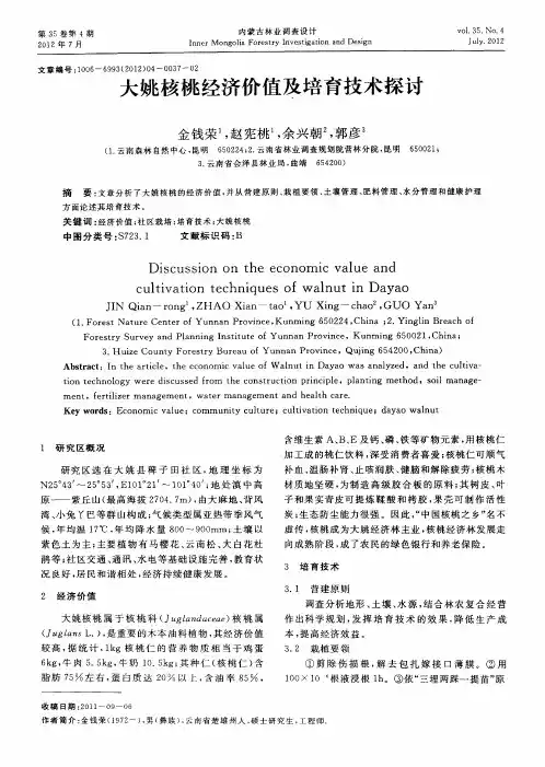 大姚核桃经济价值及培育技术探讨