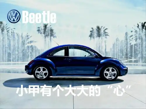 旷世经典——大众甲壳虫