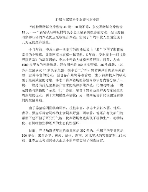 野猪与家猪科学混养利润更高