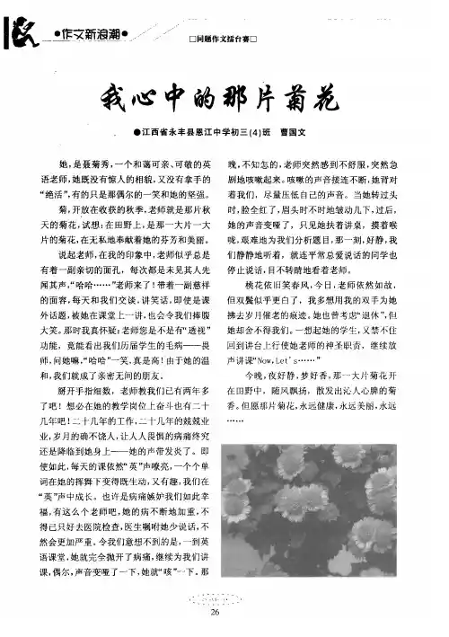 我心中的那片菊花