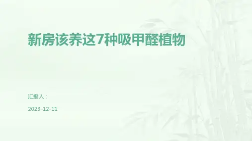 新房该养这7种吸甲醛植物