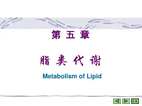 生物化学 第五章 脂类代谢