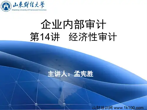 企业内部审计讲义14
