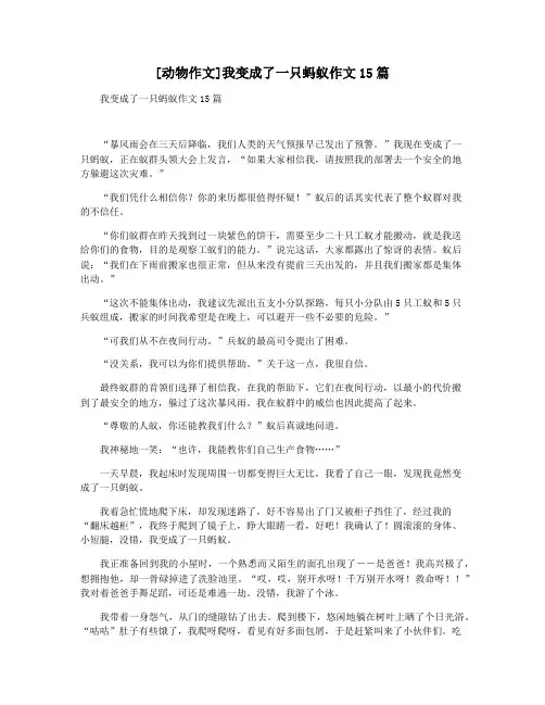 [动物作文]我变成了一只蚂蚁作文15篇