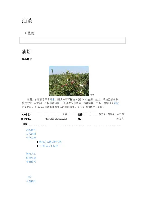 油茶