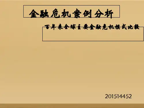 金融危机案例分析课件(PPT 39张)