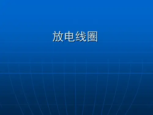电容器内放电线圈.
