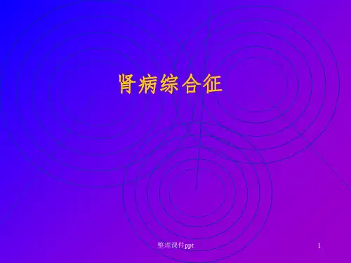 《肾病综合征》PPT课件