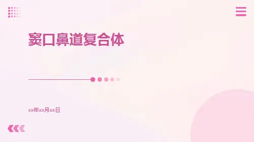 窦口鼻道复合体