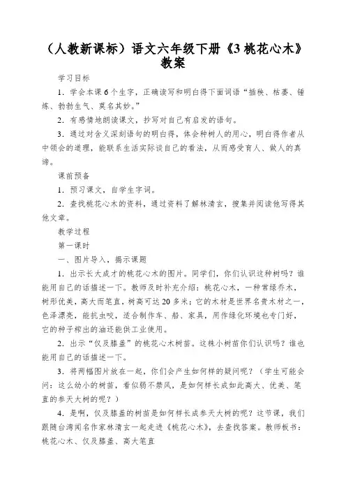 (人教新课标)语文六年级下册《3桃花心木》教案