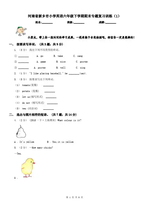 河南省新乡市小学英语六年级下学期期末专题复习训练(1)