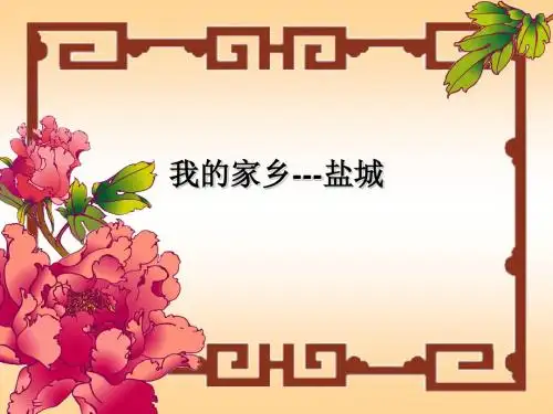 我的家乡---盐城