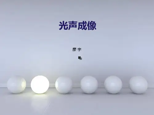 光声成像简介