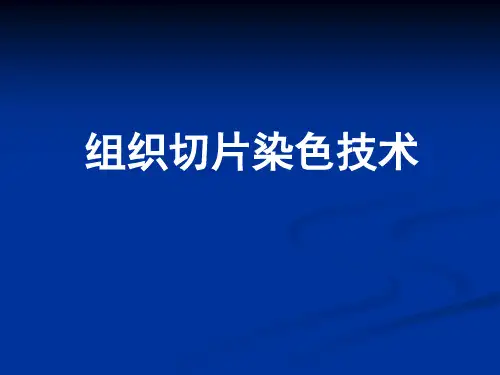 组织切片染色技术分析