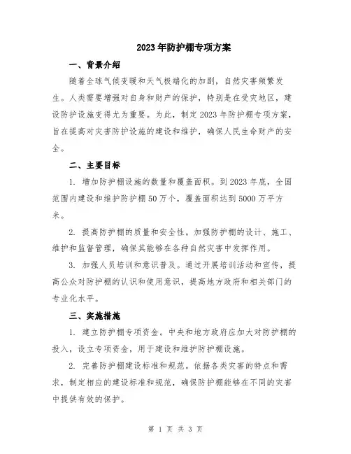 2023年防护棚专项方案
