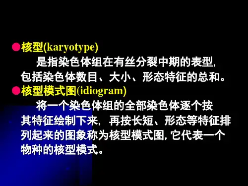 实验四染色体核型分析课件