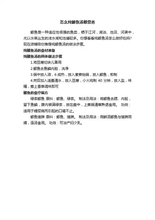怎么炖鲫鱼汤最营养
