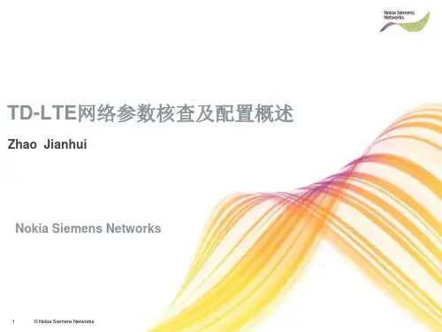TD-LTE网络参数核查及配置概述-v1.0