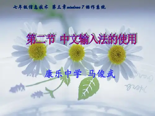 第二节 中文输入法的使用(讲稿)