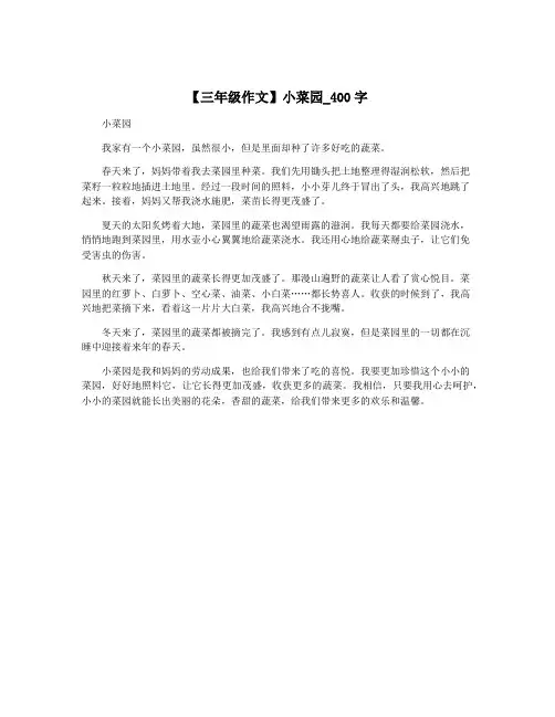【三年级作文】小菜园_400字