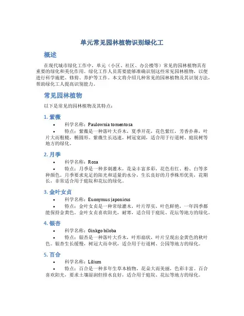 单元常见园林植物识别绿化工