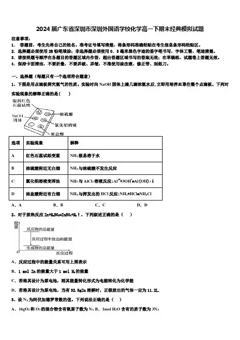2024届广东省深圳市深圳外国语学校化学高一下期末经典模拟试题含解析