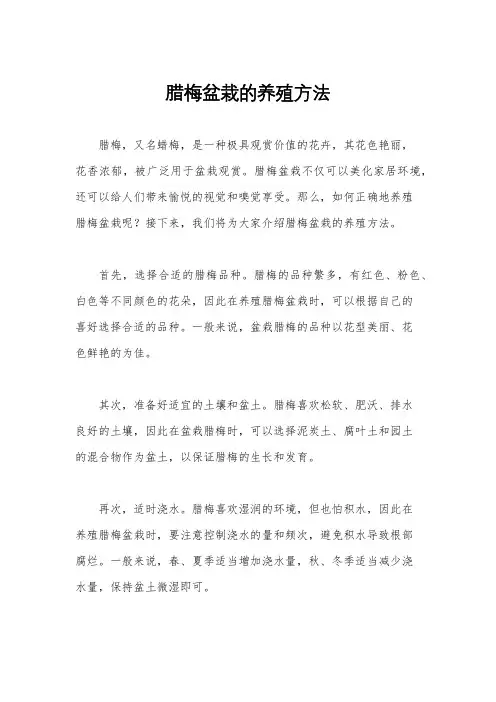 腊梅盆栽的养殖方法