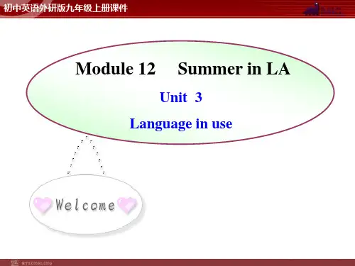 英语：Module 12 Unit 3