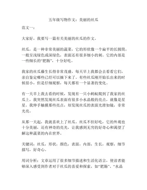 五年级写物作文：美丽的丝瓜
