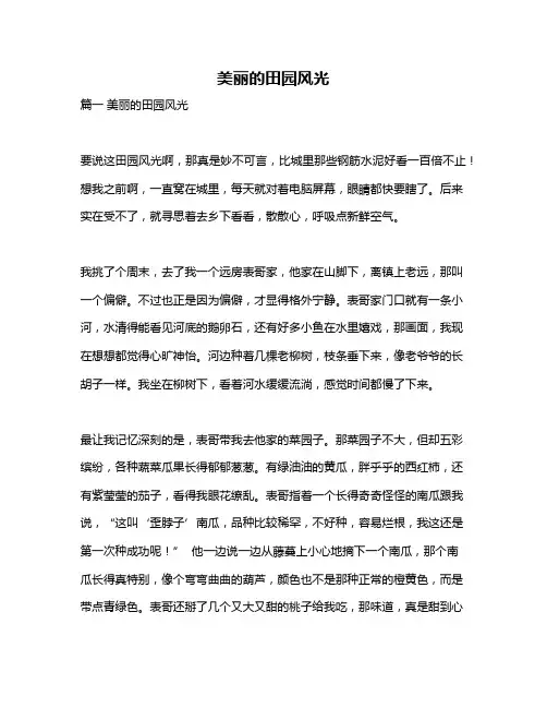 作文《美丽的田园风光》